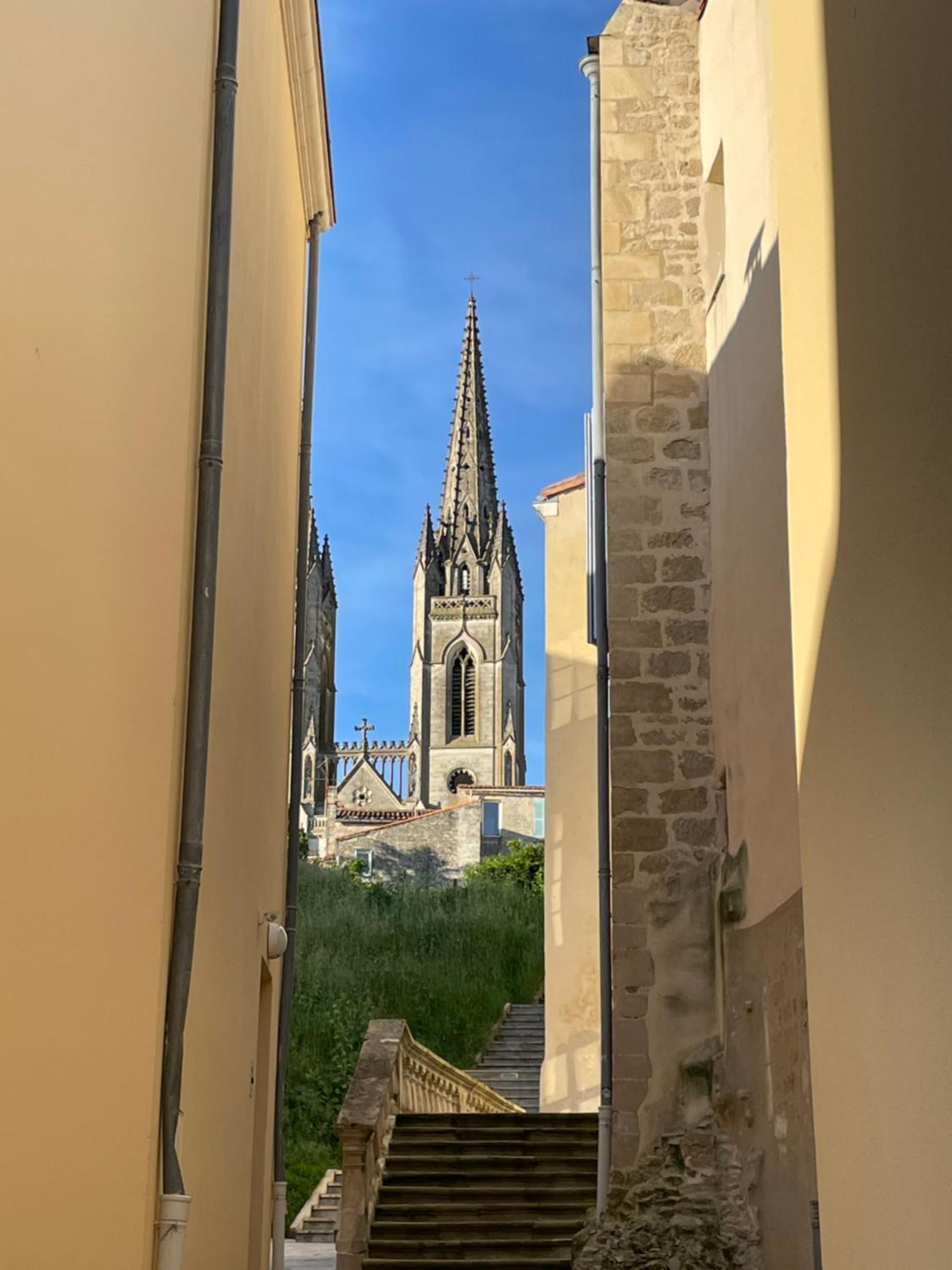 Chez Jean-Yves Et Zoe - Le Saint Andre - Au Calme, Tres Propre, Proche Parkings, Clim Apartment Niort Bagian luar foto