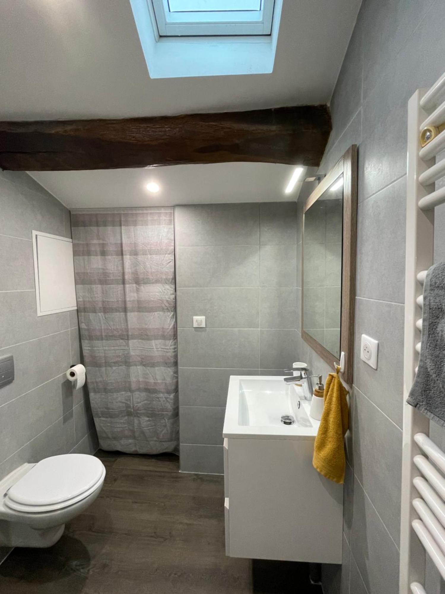 Chez Jean-Yves Et Zoe - Le Saint Andre - Au Calme, Tres Propre, Proche Parkings, Clim Apartment Niort Bagian luar foto